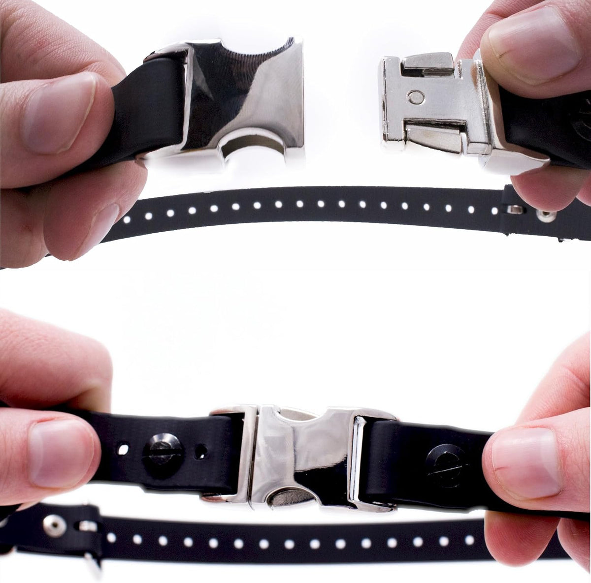 E-Collar Educator 3/4" Quick Snap Bungee Collar Strap, Black