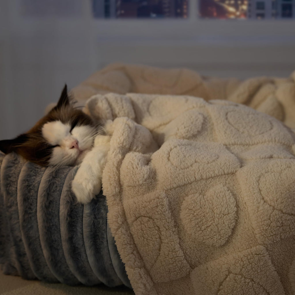Bedsure Dog Blanket for Small Dogs, Cats & Puppy, Ultra Soft Fleece, 25x35