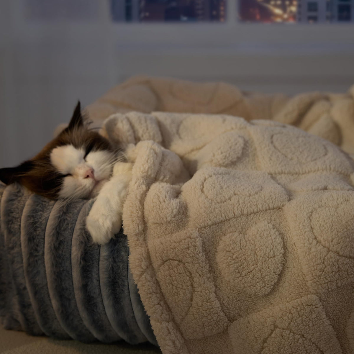 Bedsure Dog Blanket for Small Dogs, Cats & Puppy, Ultra Soft Fleece, 25x35