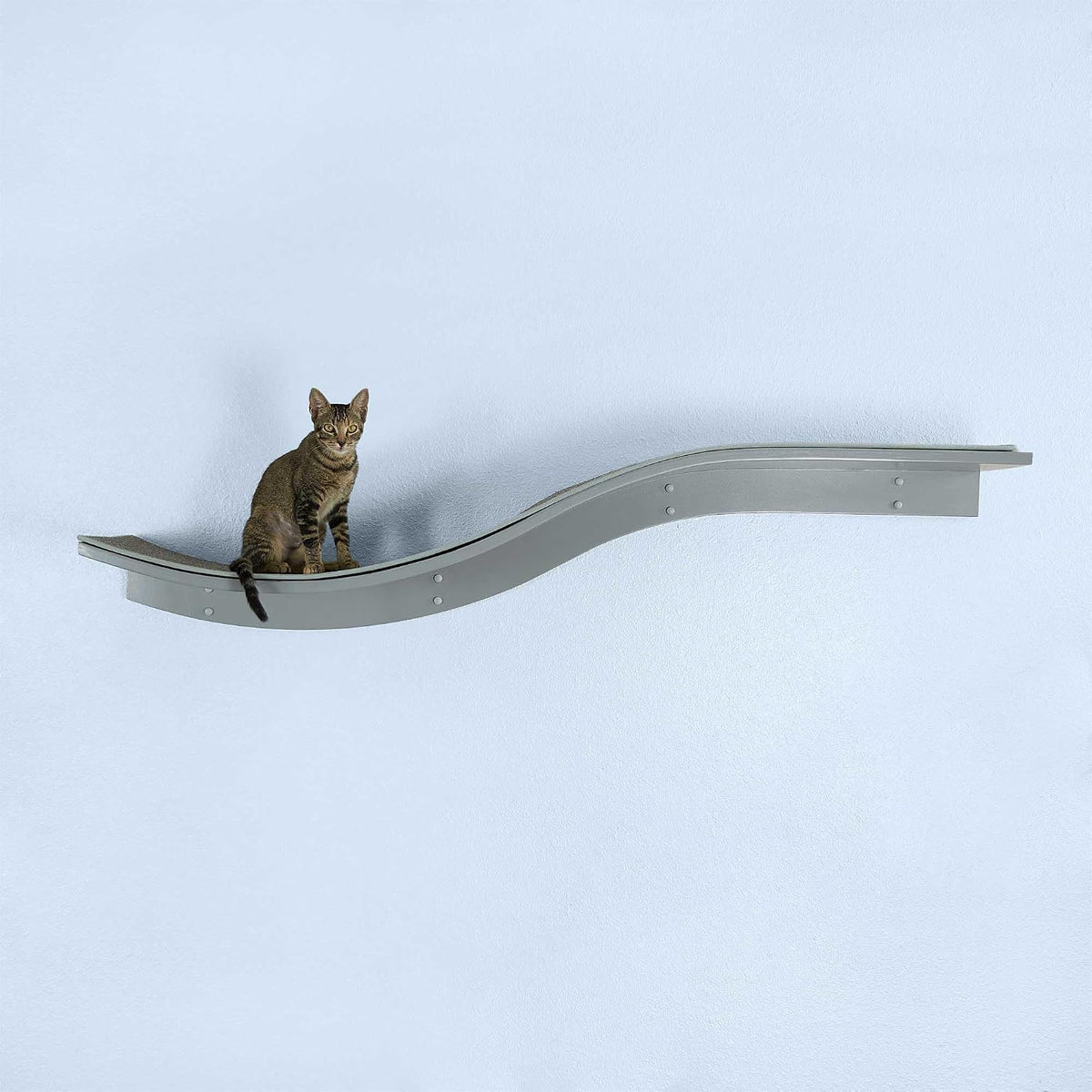 THE REFINED FELINE 60 Inch Lotus Branch Cat Shelf in Black Ebony with Replaceable Carpet, Playing, Climbing, & Lounging 