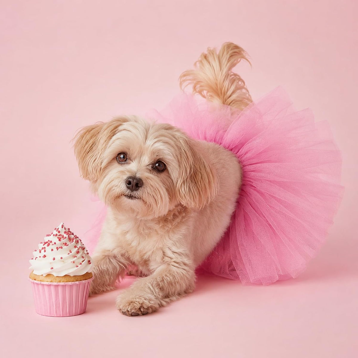 Dog Tutu Pink Tutu for Dogs, for Small Medium-Sized Dogs and Pets