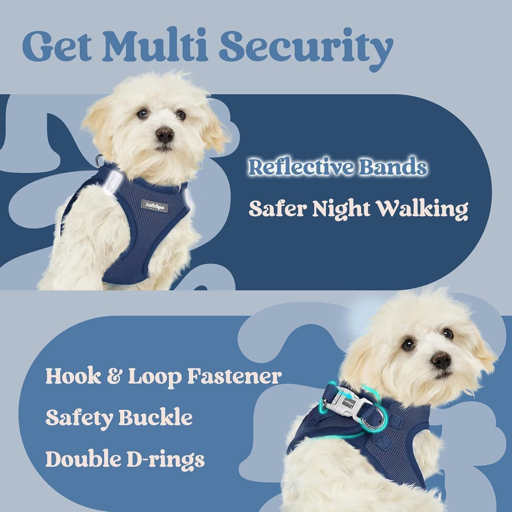rabbitgoo Step-in Small Dog Harness, Puppy Vest for Small Sized Pet