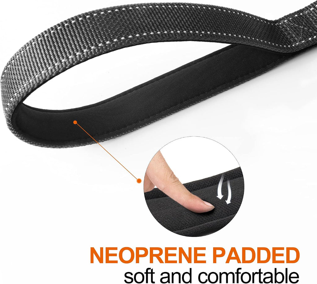 6FT 1IN Heavy Duty Dog Leash for Large Dogs with 2 Padded Handles