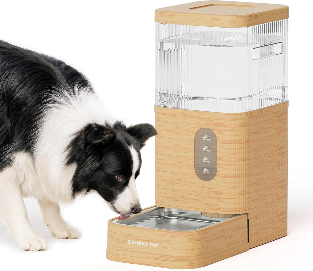 2.2 Gallon Automatic Dog Water Dispenser with Stainless Steel Bowl