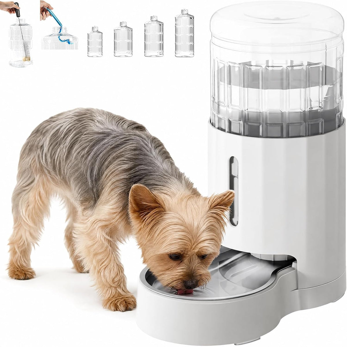 CZPET 5L Gravity Water Bowl Dispenser for Cats and Dogs (Black)