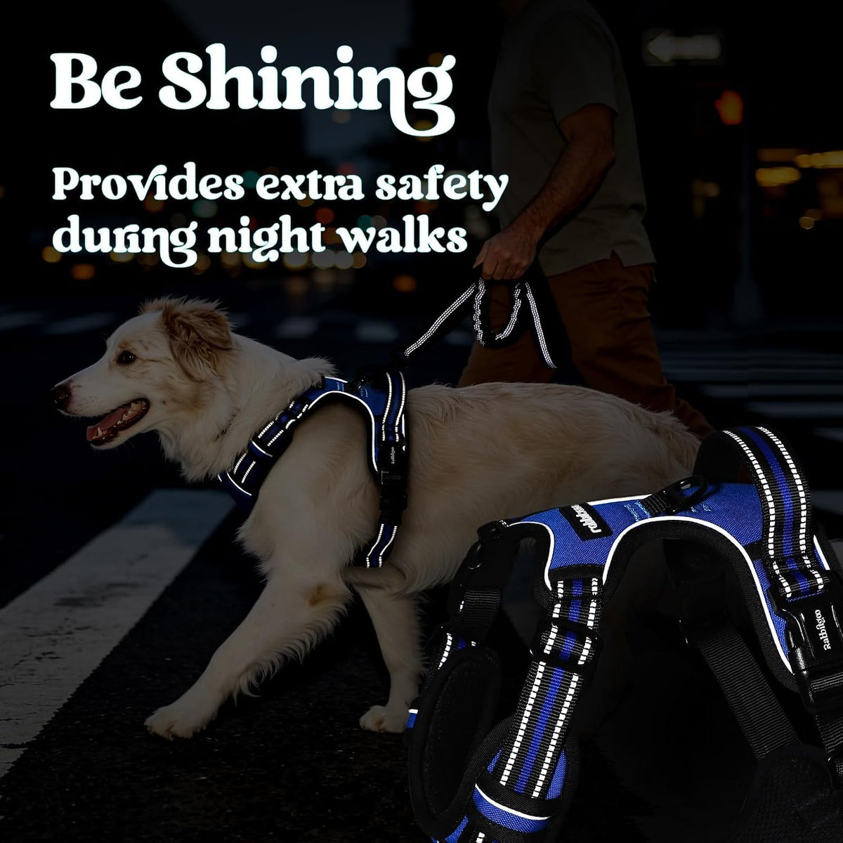 rabbitgoo Dog Harness for Large, Updated Easy On & Off with 3 Buckles