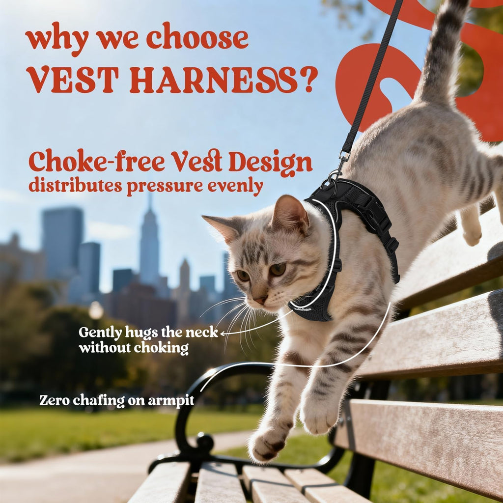 rabbitgoo Cat Harness and Leash Set, Escape Proof Vest, Black
