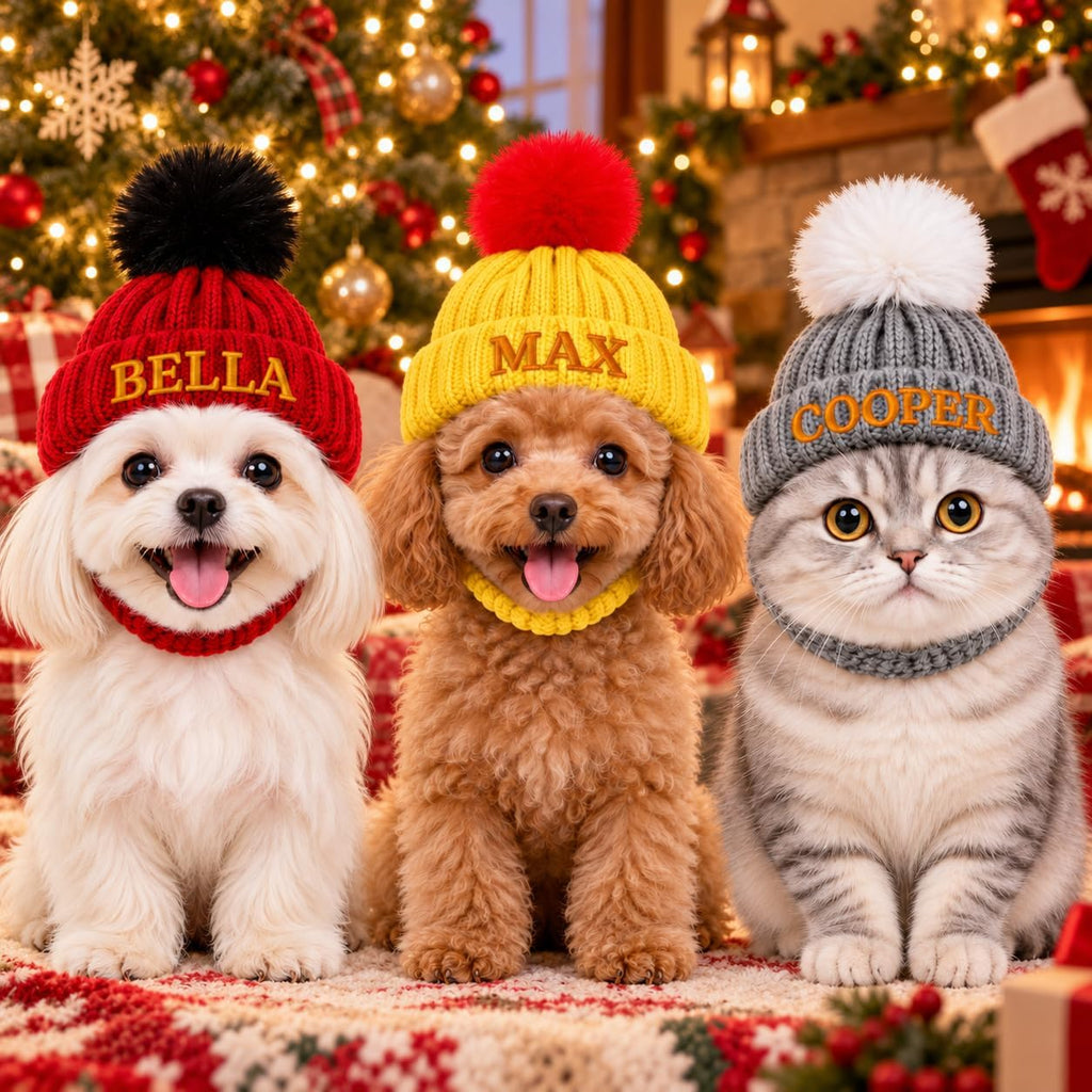 Personalized Dog Winter Hat with Ear Holes Pet Beanie with Embroidered Name