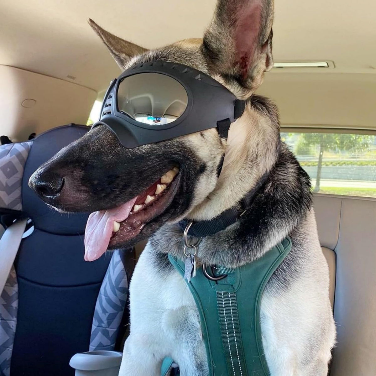 Dog Goggles for Large Dogs Eye Protection, Wide Snout & Soft Frame, UV Protection Dog Sunglasses Medium to Large Breed, 