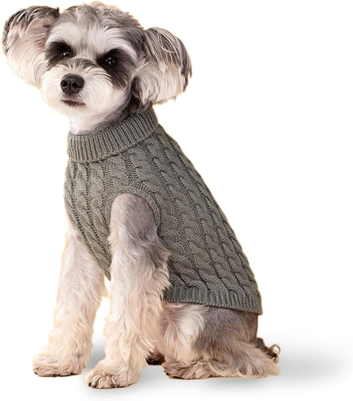 Dog Sweater, Black M Pullover Sweater, Turtleneck Knitwear, Puppy Outfits for Small and Medium Dogs, Warm Clothes for Bu