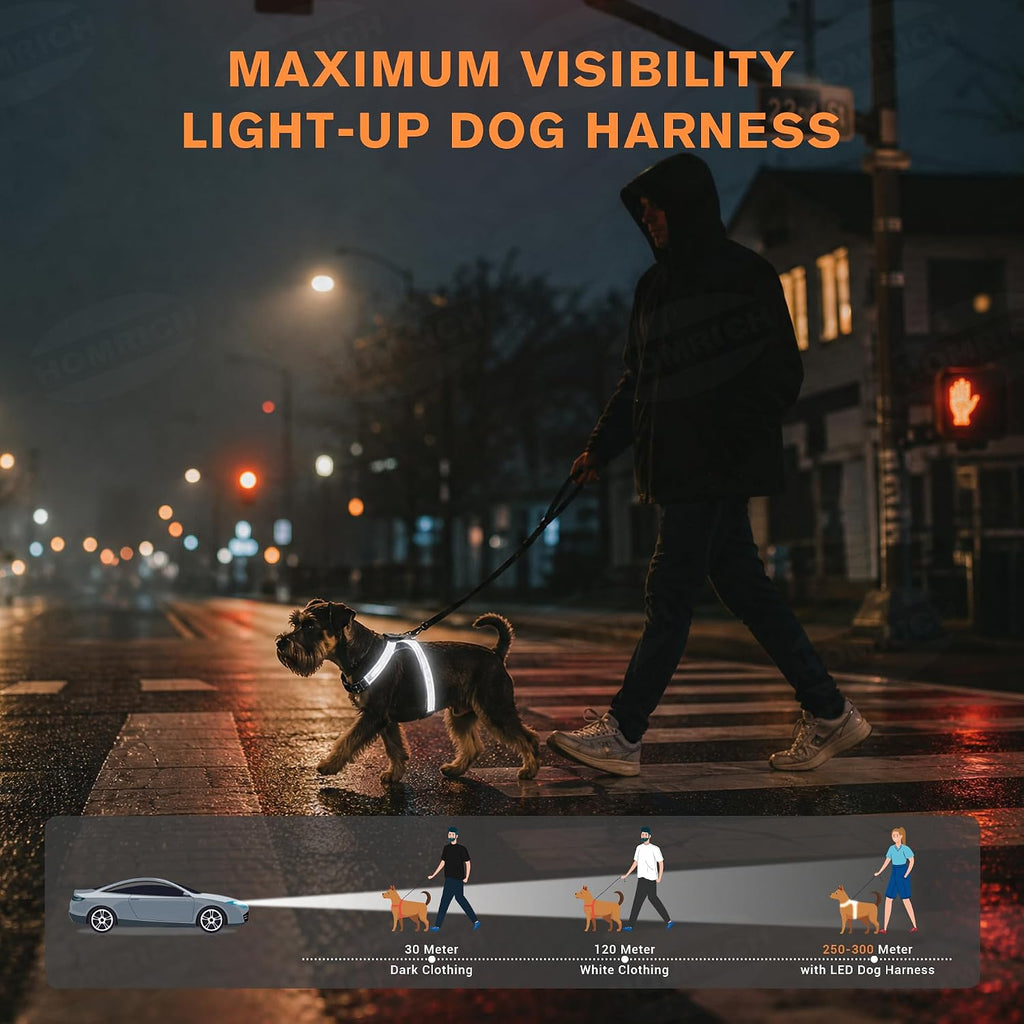 Multicolor Light Up Dog Harness, No Pull Led Vest for Night Walking (Small)