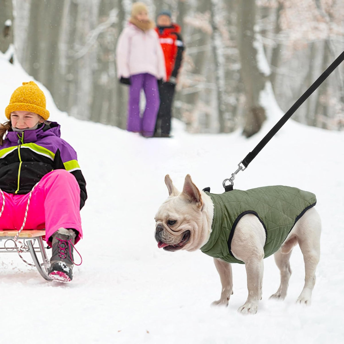 Winter Dog Vest Coat with Harness Built In