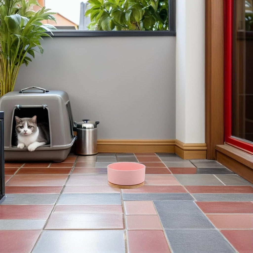 Heated Cat Water Bowl for Kittens, USB Powered 350ml Pink
