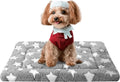 Dog Bed Mat, Reversible Crate Pad, Machine Washable for Small Dogs