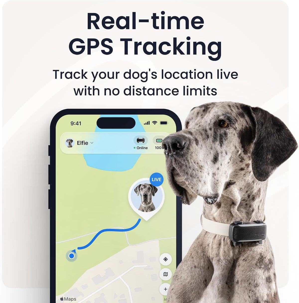 Tractive XL Smart Dog GPS Tracker | Live Pet Tracker with Virtual Fence | Vital Signs Monitoring of Heart & Respiratory 