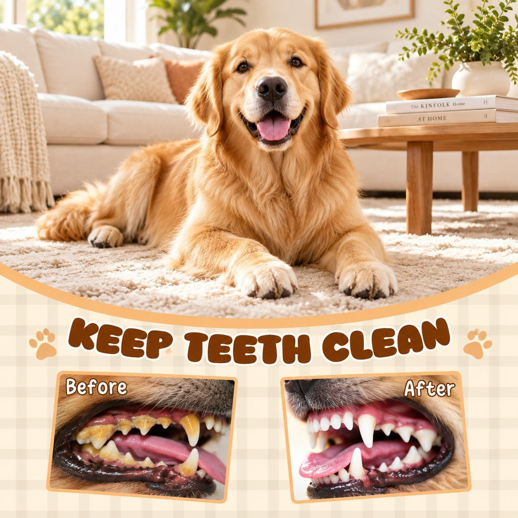 No Stuffing Dog Toys 2 Pack for Small Medium Large Dogs