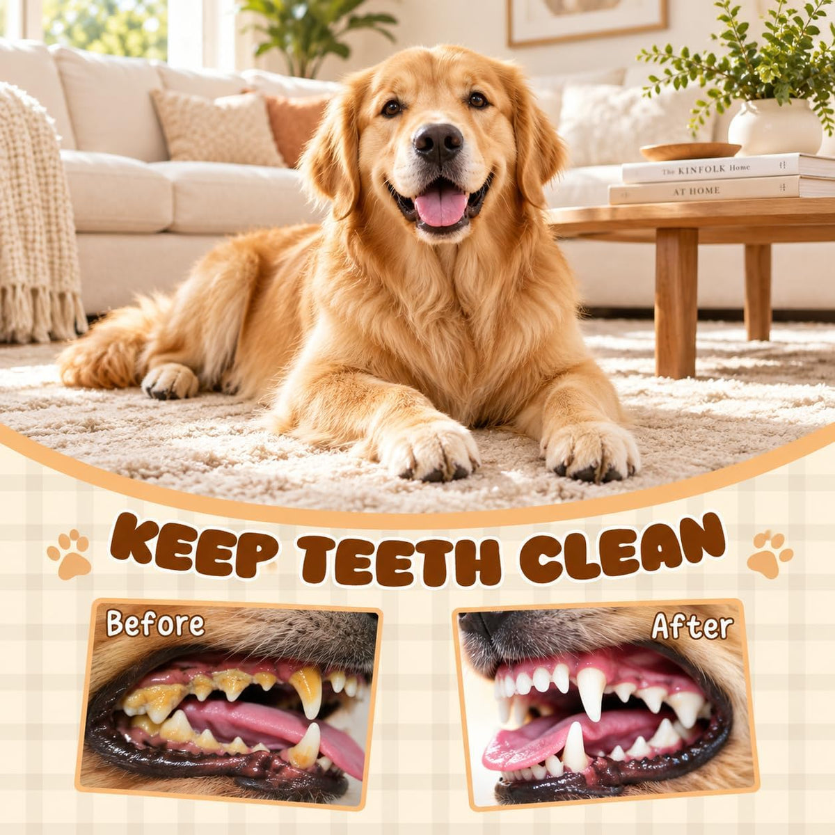 No Stuffing Dog Toys 2 Pack for Small Medium Large Dogs