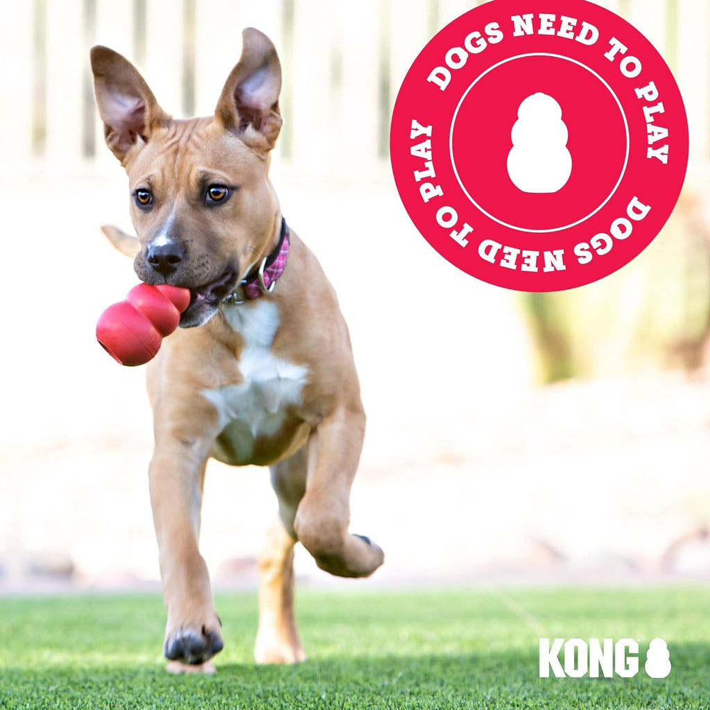 Kong Wild Knots Bear, Knotted Rope Plush Toy, for Medium/Large Dogs