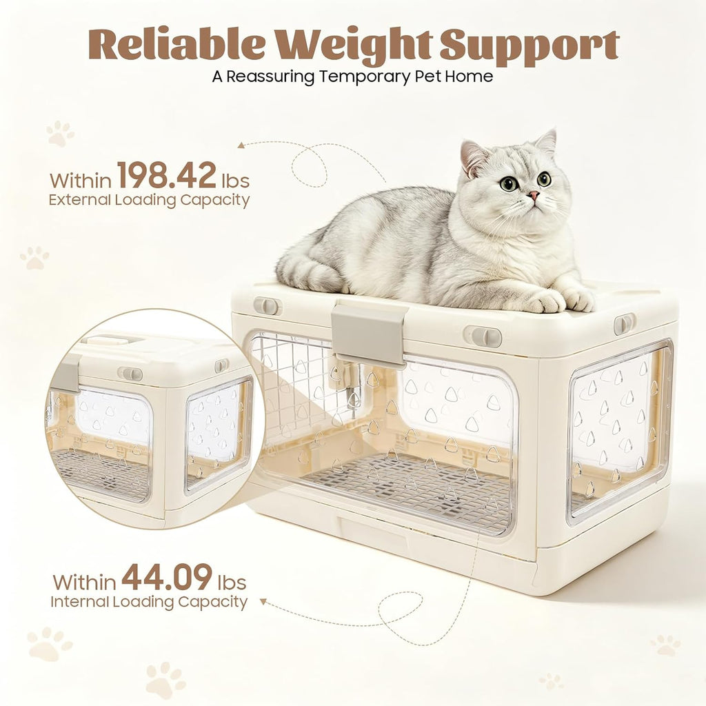 Collapsible Hard Cat Carrier Transparent Pet Crate for Cats & Small Dogs