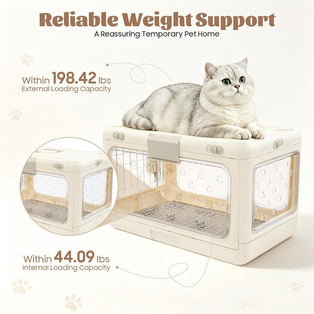 Collapsible Hard Cat Carrier Transparent Pet Crate for Cats & Small Dogs