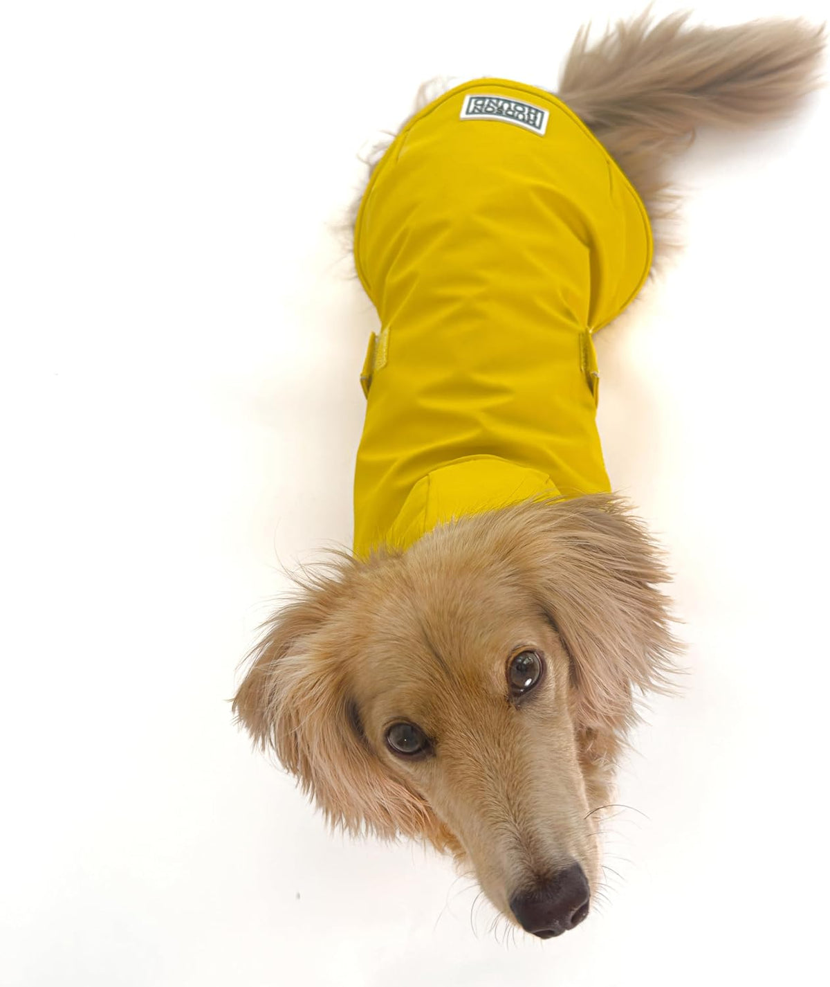 Long Dog Dachshund Raincoat, Waterproof Rain Jacket - Small