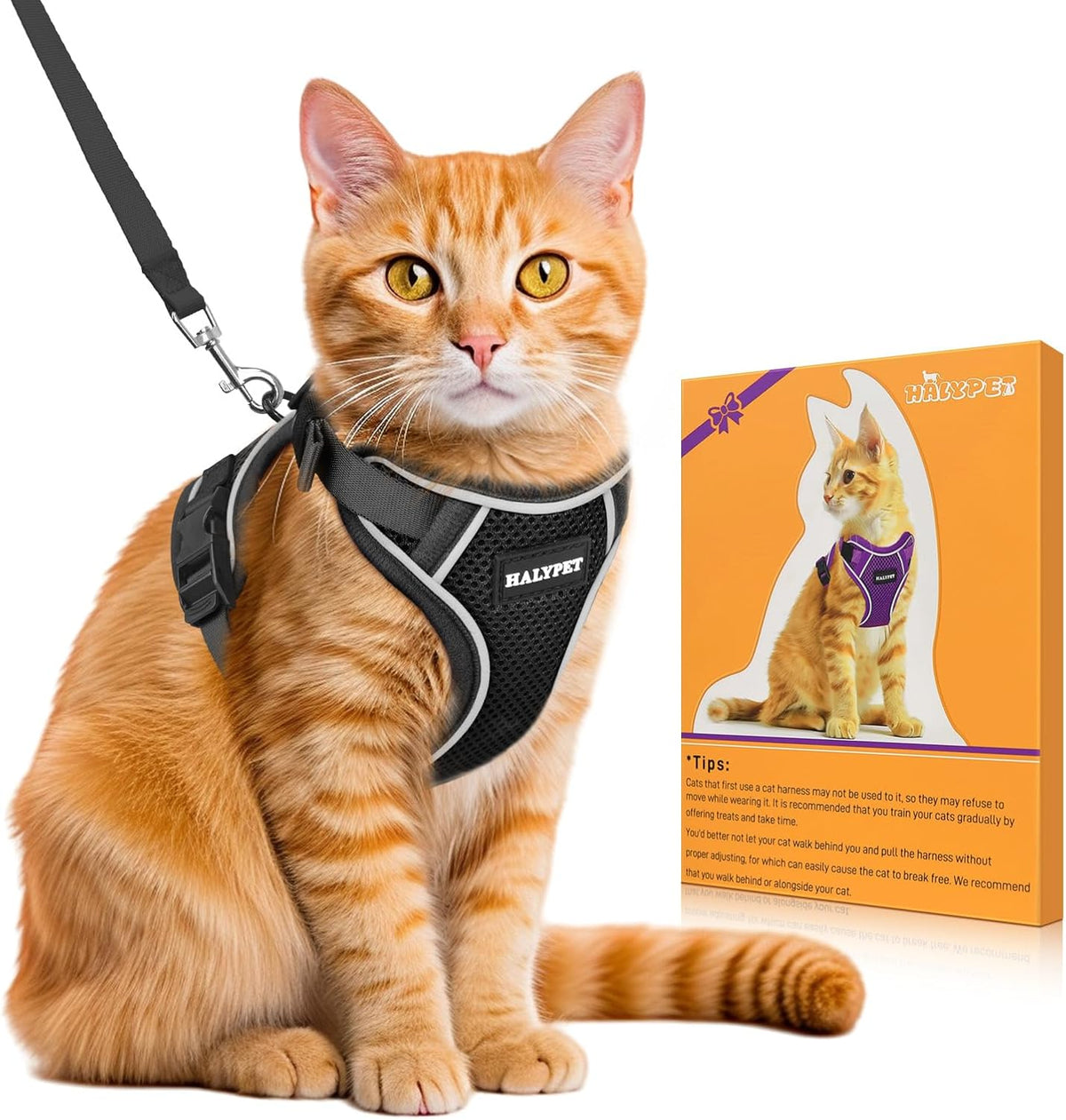 Cat Harness and Leash Set,Escape Proof Kitten Harness,Black
