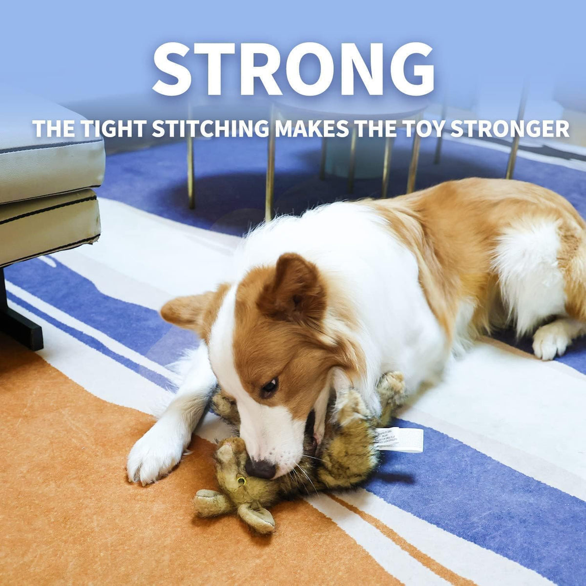 ALL FOR PAWS Rabbit Squeaky Doy Toy, Bunny Dog Toy for Medium Large Breed, Puppy Fetch Toy with Squeaker, Plush Chew Dog