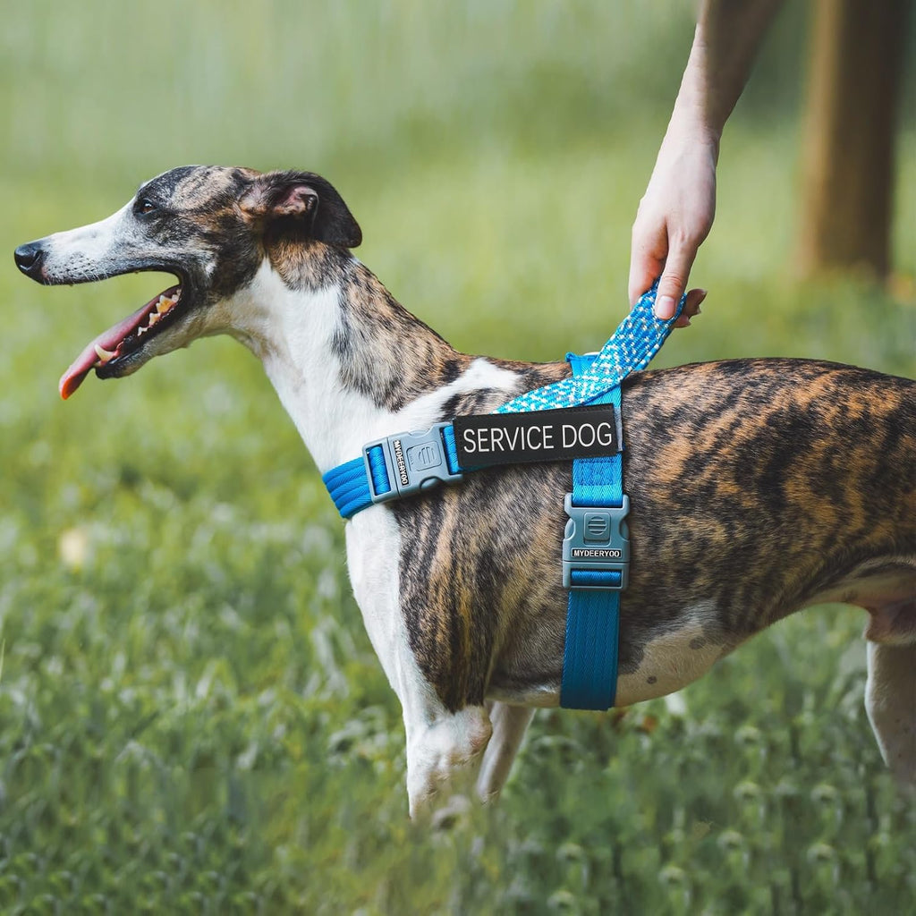 Red Emotional Support Patches & ID Tag Set for Collar Harness Vest