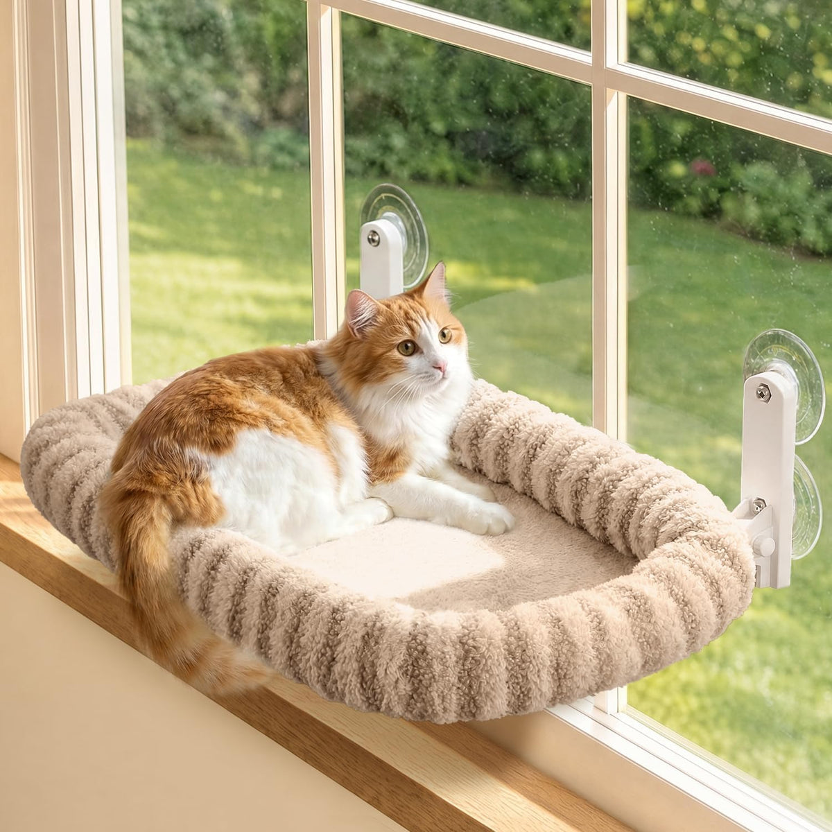 Zakkart Mellow Foldable Cat Window Perch, Upgraded Suction Cups (Beige, M)
