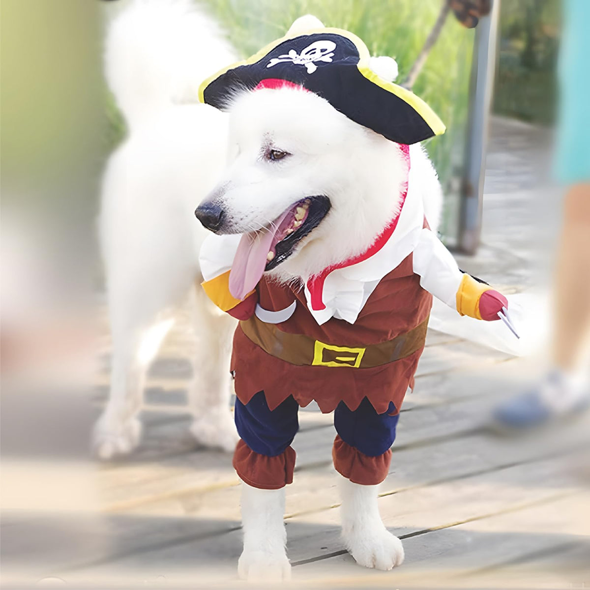 NACOCO Pet Dog Costume Pirates of The Caribbean Style (Medium)
