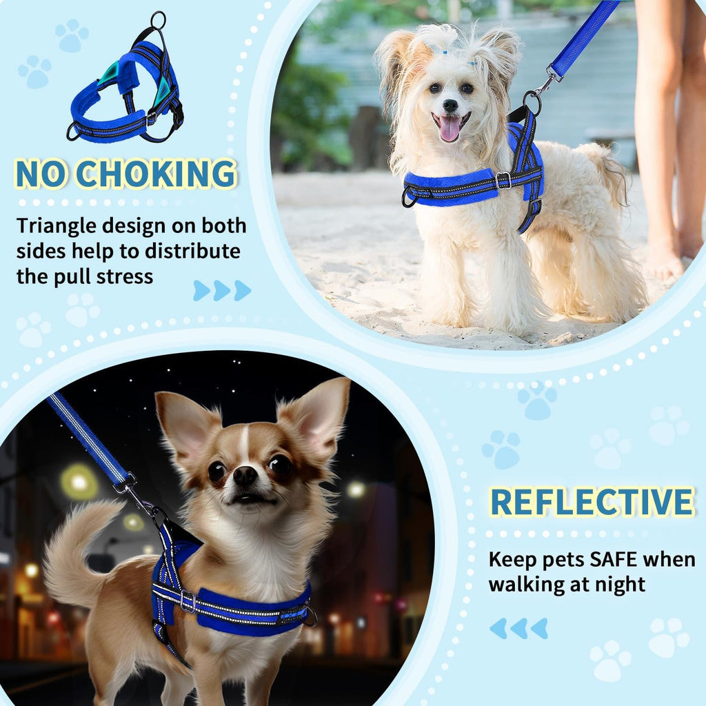 Lukovee Small Dog Harness and Leash Set, No Pull Soft Padded, 4ft Leash, XS