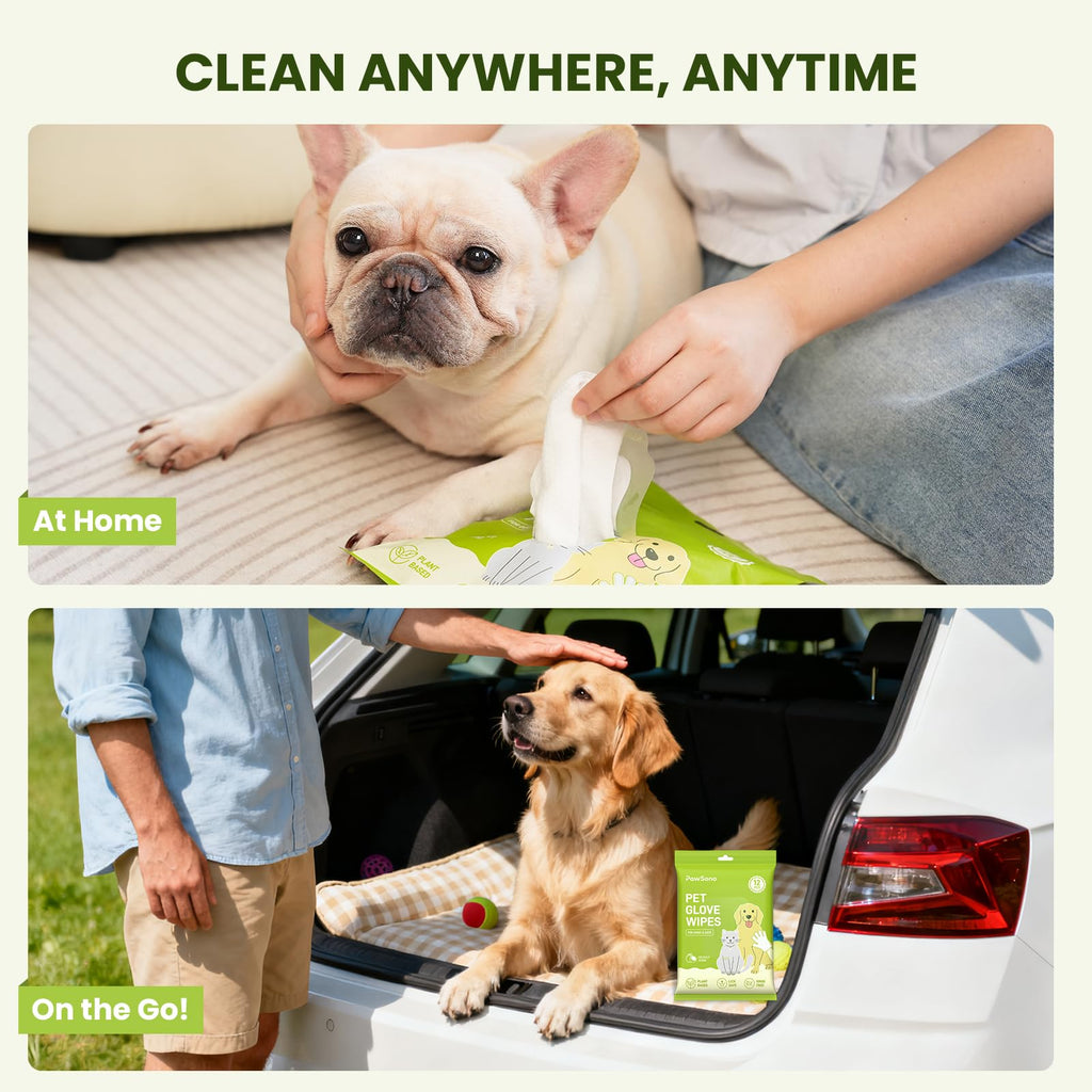 PawSono 36ct Pet Glove Wipes for Dogs, Cats & Small Animals, Coconut Scent