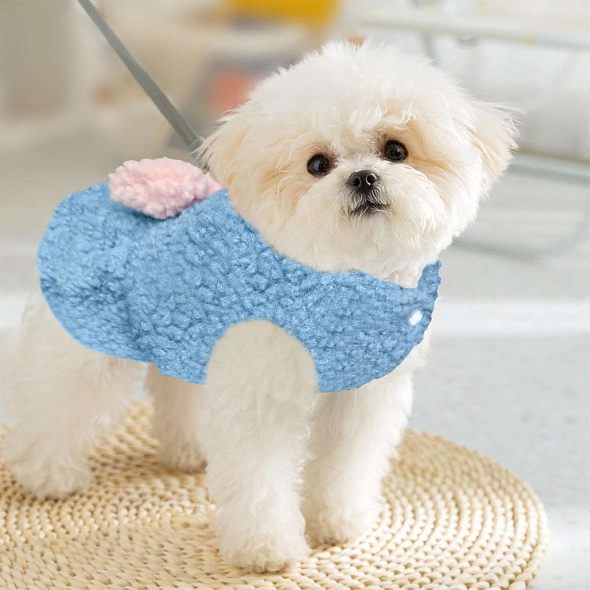 Winter Dog Dress with Bow & Leash Ring, Warm Puppy Clothes for Small Dogs