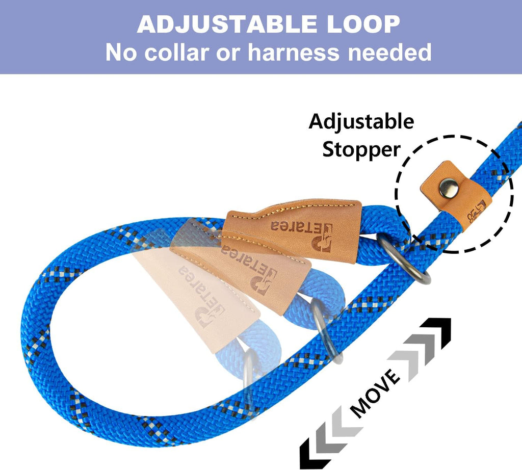 5 FT Slip Lead Dog Leash, Heavy Duty Rope Leash for Small Medium Large Dogs, No Pull Training Lead with Reflective Threa