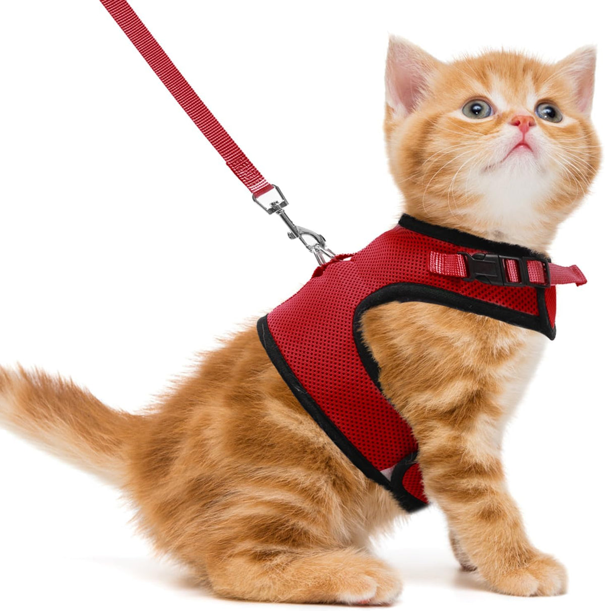 PUPTECK Soft Mesh Cat Vest Harness and Leash Set Puppy Padded Pet Harnesses Escape Proof for Cats Small Dogs Rabbits Bun