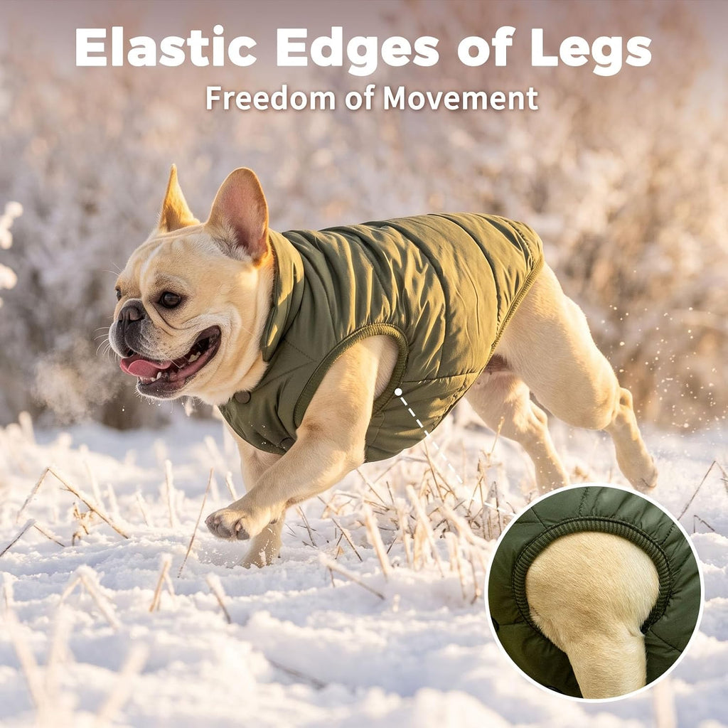 Fleece Lined Dog Jacket for Small Dogs,Winter Dog Coat,Green S
