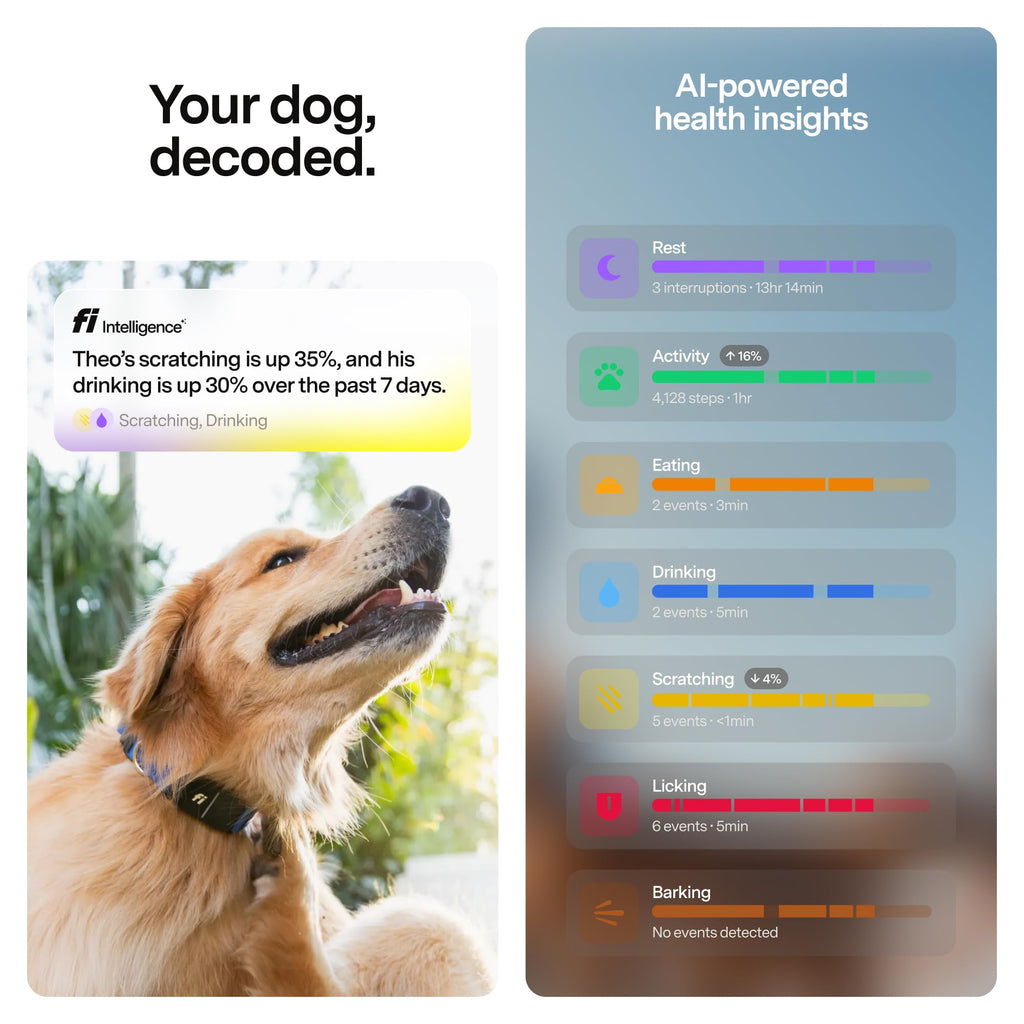Fi Series 3+ Smart GPS Dog Collar & Pet Tracker, Gray, Large