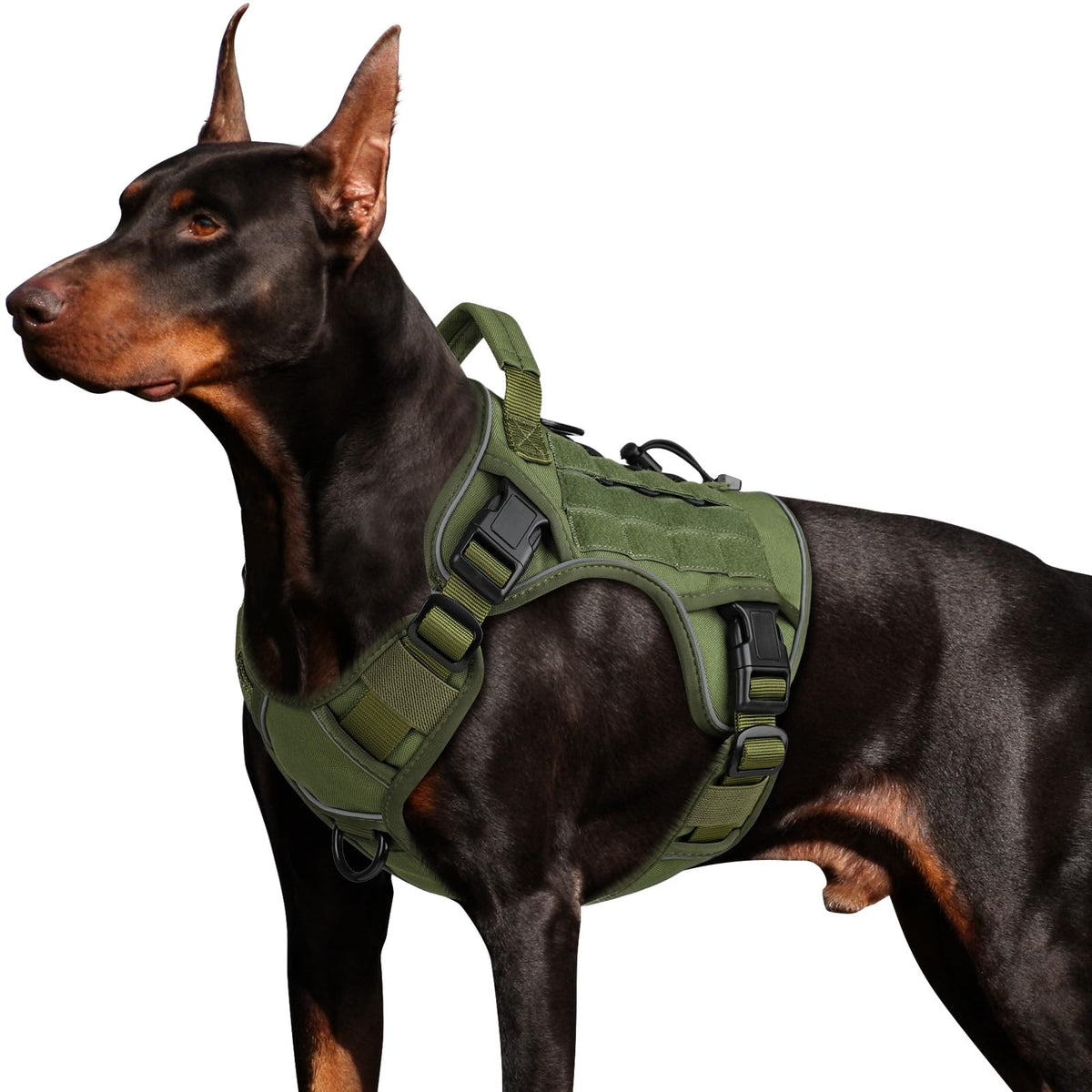 WINGOIN Tactical Dog Harness for Large Dogs,No Pull Heavy Duty Dog Harness