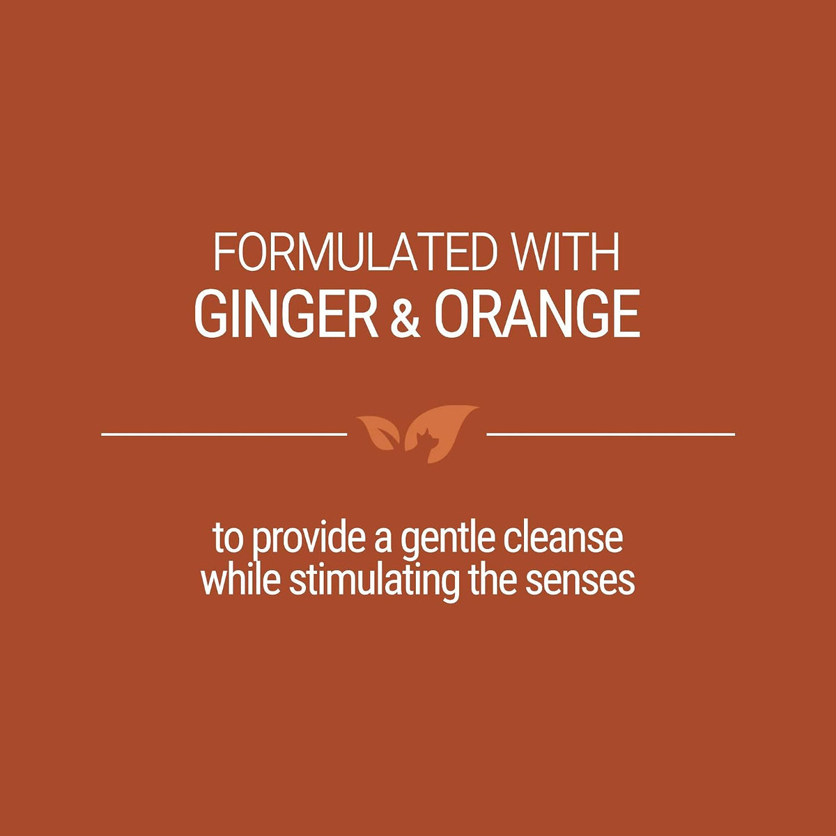 Green Groom Ginger Orange Aromatherapy Calming Dog Shampoo, 1 Gallon