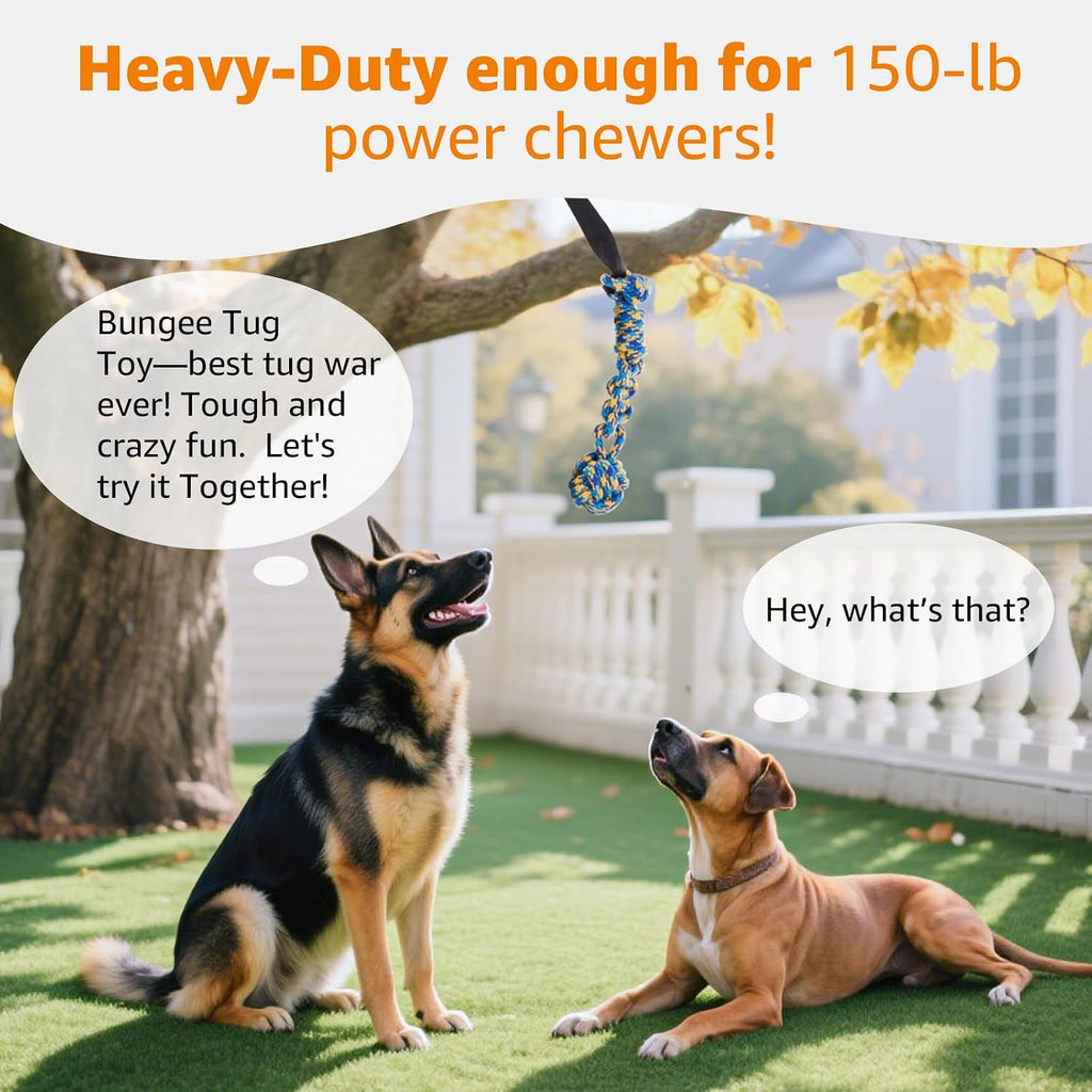 LOOBANI Outdoor Bungee Hanging Toy, Tether Tug of War Dog Toys, Black