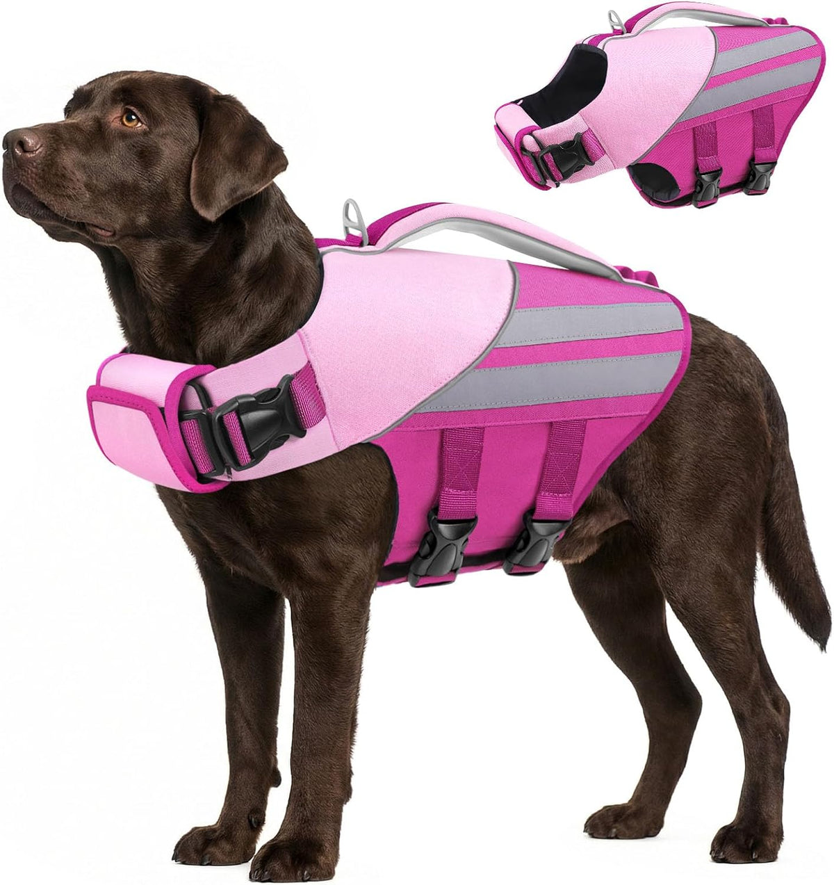 Small Dog Life Jacket, Lightweight High Buoyancy Dog Life Vest