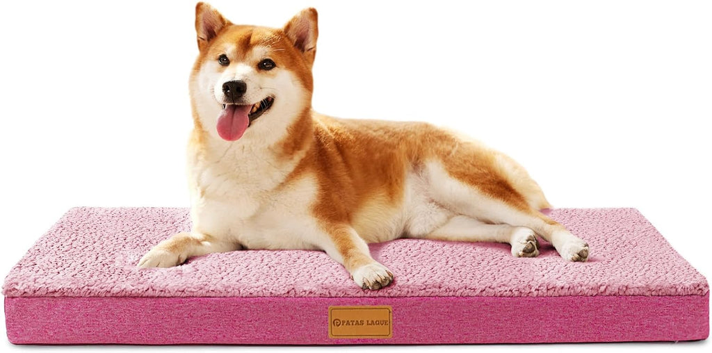 Patas Lague Orthopedic Large Dog Bed Washable Pet Sofa Mat 36''X24'' Black