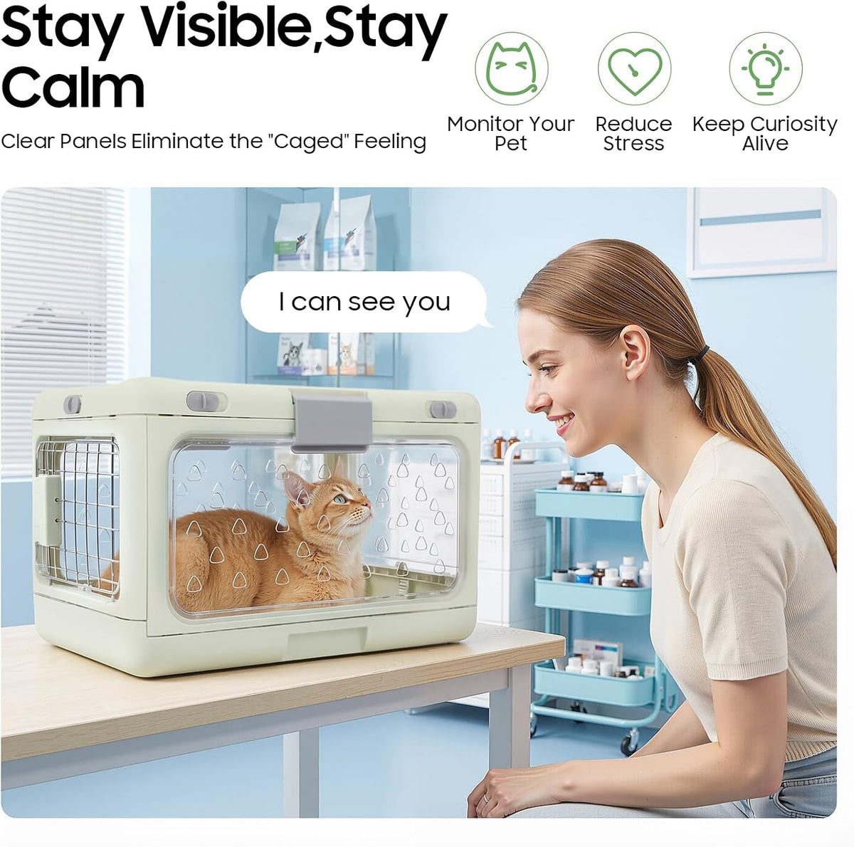 Collapsible Dog Crate for Small Dogs, Hard Cat Carrier 19.69x12.6x12.2in