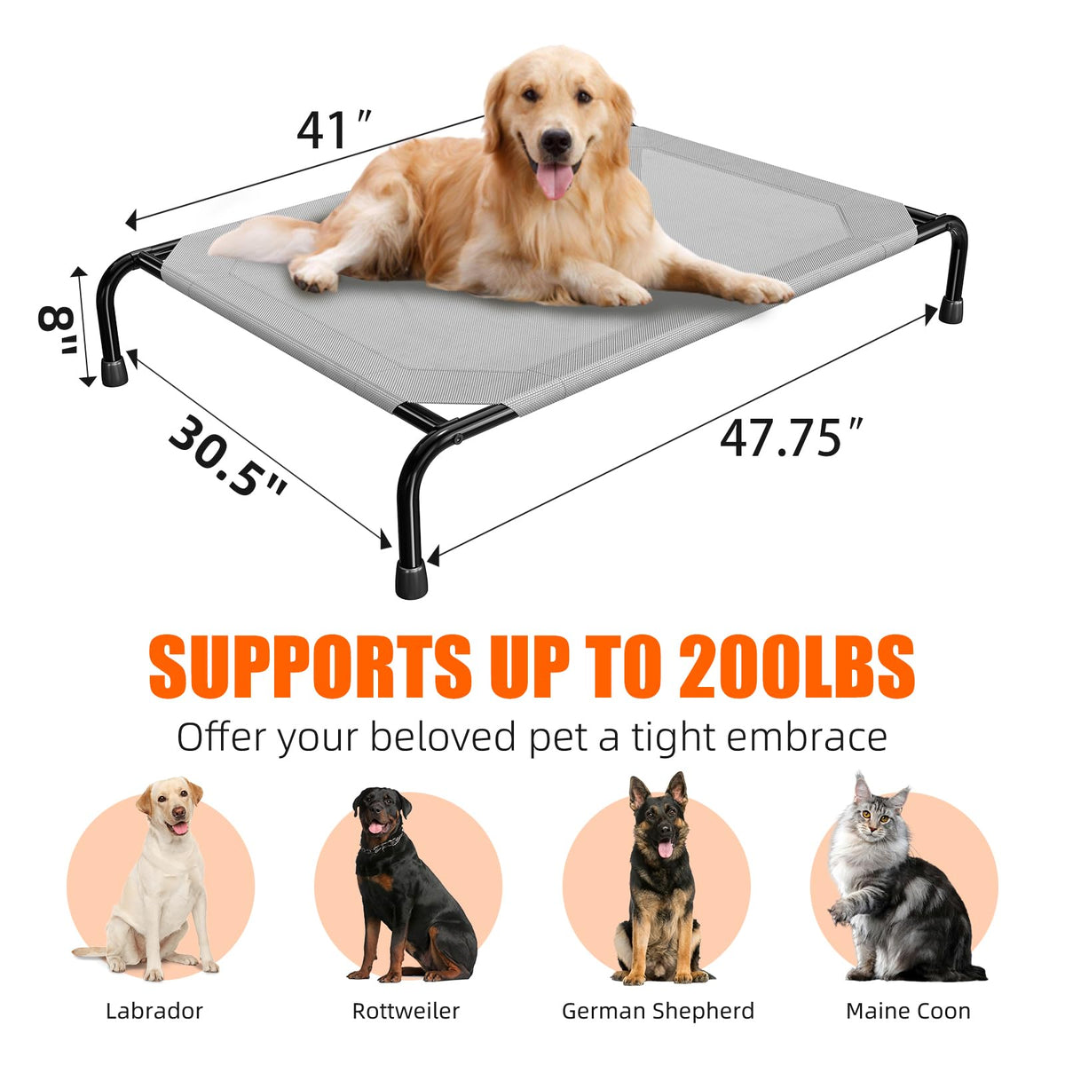 Simple Trending Raised Dog Bed for Large Dogs, Waterproof XL Dog Cot, Grey