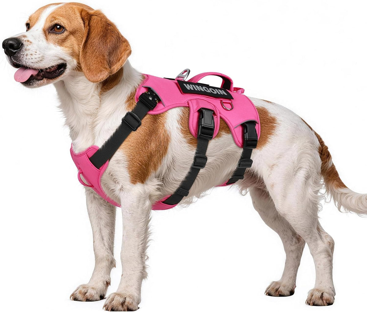 Escape Proof Dog Harness,No Pull for Large Dogs with Handle,Green,L