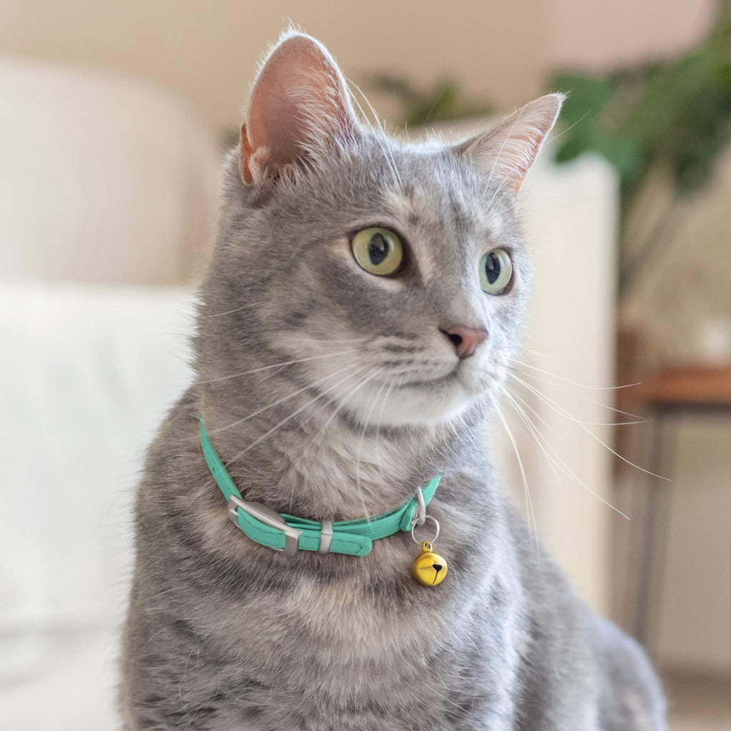 Soft Leather Cat Collar with Safety Elastic Strap - Mint Green