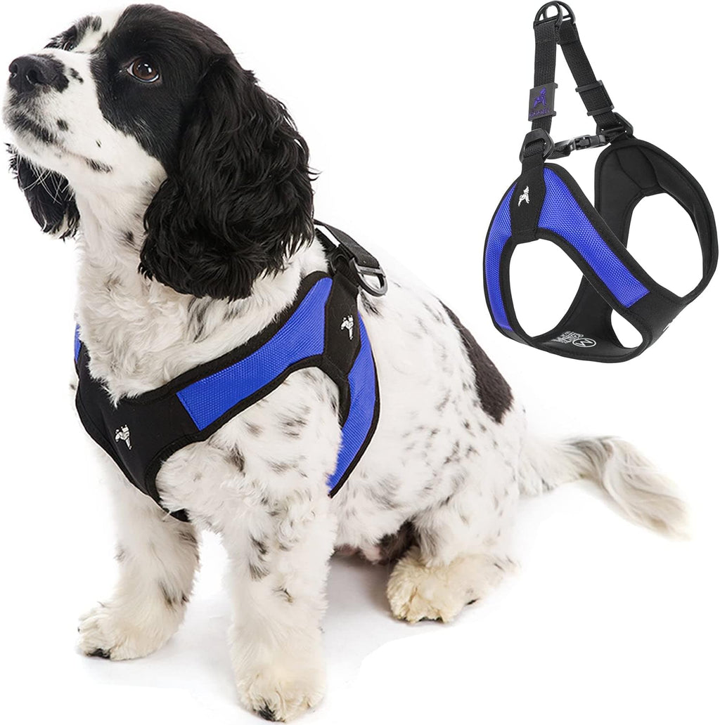 Gooby Escape Free Easy Fit Dog Harness, Step-in, Turquoise, Small