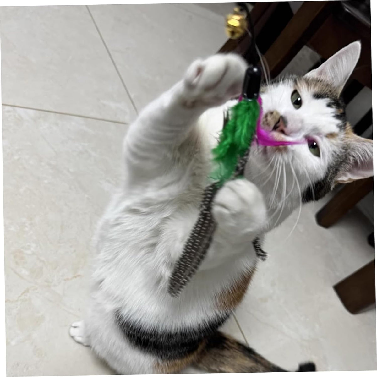 8PCS Cat Toys Feathers Replacements 7.9'' Natural Cat Wand Toy Replacements with Loop Long-Lasting Fishing Pole Toy for 