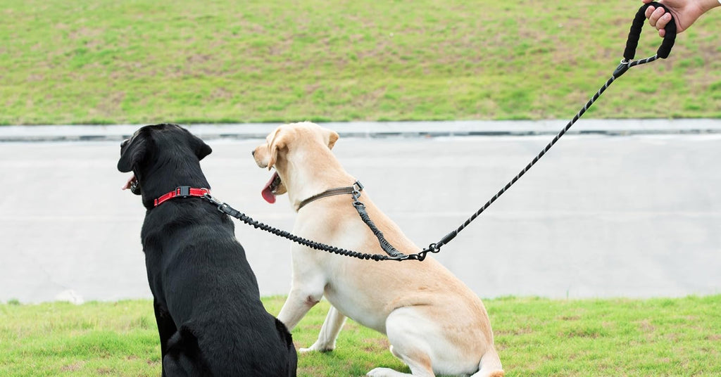 Double Dog Leash, 360° Swivel, No Tangle, Large, 25-150 lbs, Black