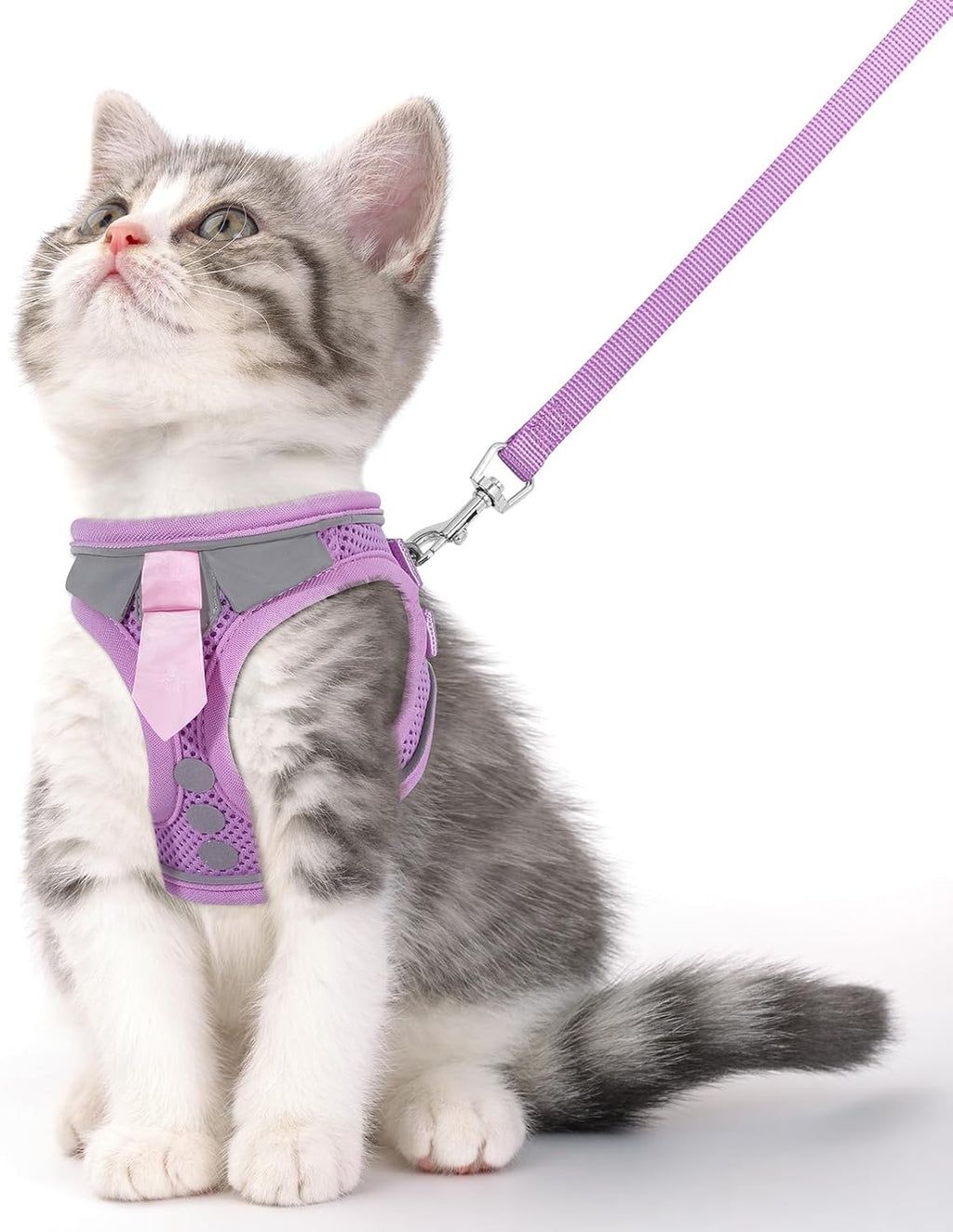 Cat Harness and Leash Set for Walking Escape Proof Vest for Kitten